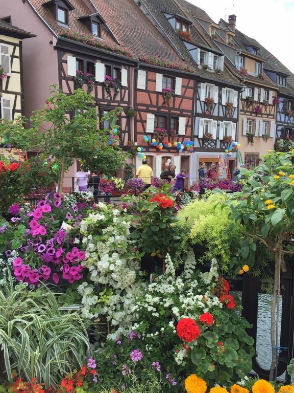 Les Appartements De Home Petite Venise Colmar Exteriér fotografie