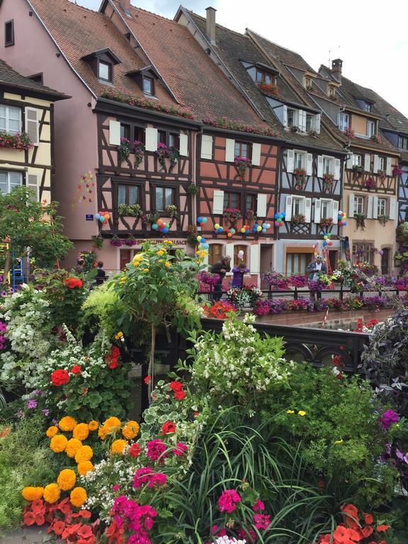 Les Appartements De Home Petite Venise Colmar Exteriér fotografie