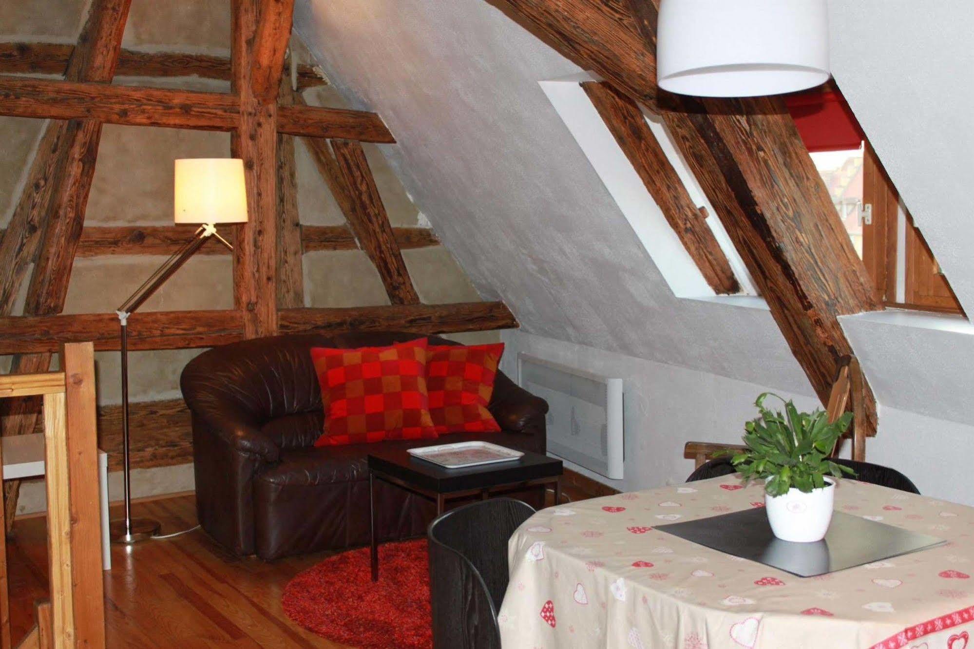 Les Appartements De Home Petite Venise Colmar Exteriér fotografie